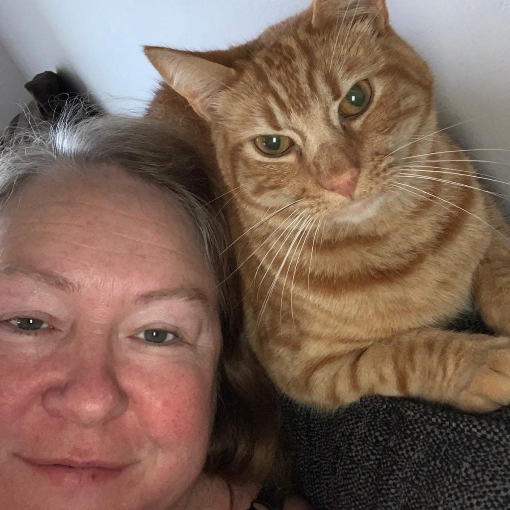 Meet our friendly team of Cat Sitters in Warrington My Three Cats